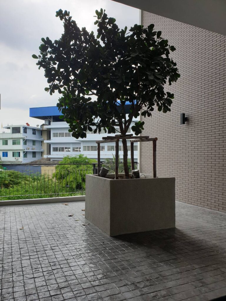 Thongchen3