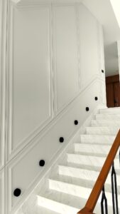 TVI House55