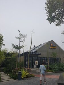 PTT ท่าจีนรุ่งเรืองปิโตรเลียม21
