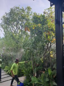 PTT ท่าจีนรุ่งเรืองปิโตรเลียม24