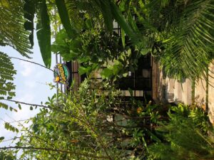 PTT ท่าจีนรุ่งเรืองปิโตรเลียม48