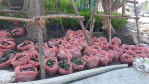 PTT อิสรีย์รุ่งเรืองบริการ113