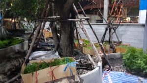 PTT อิสรีย์รุ่งเรืองบริการ115