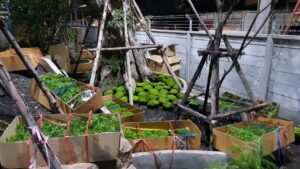 PTT อิสรีย์รุ่งเรืองบริการ117