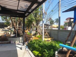 PTT อิสรีย์รุ่งเรืองบริการ141