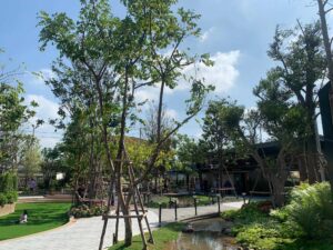 PTT อิสรีย์รุ่งเรืองบริการ41