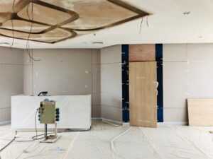 The Viriyah Insurance6